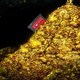 Image for article titled It's Time For Japanese Developers To Stop Hoarding Their RPGs